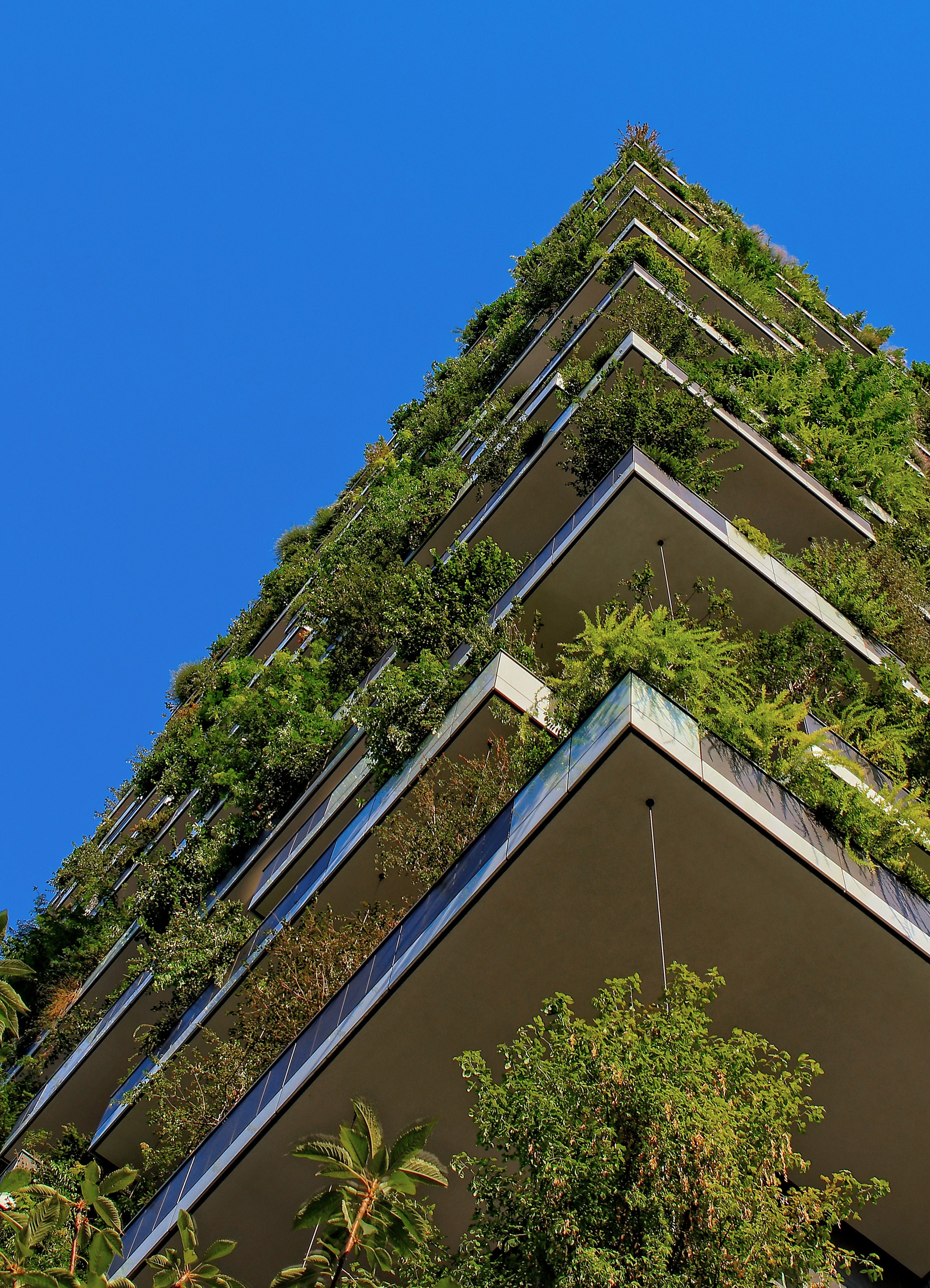 a building with plants and trees on every level